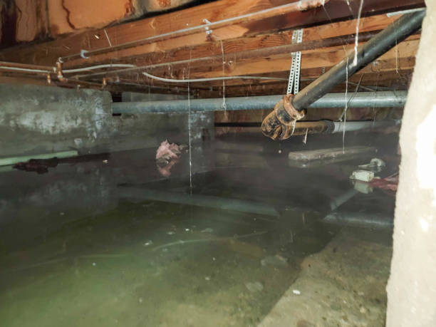 Best Water damage restoration near me  in South Amboy, NJ