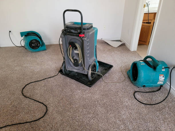Best Flood damage cleanup  in South Amboy, NJ