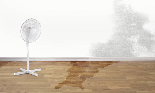 Best Local water damage restoration  in South Amboy, NJ