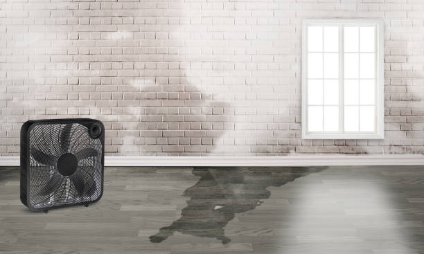 Professional Water damage restoration in South Amboy, NJ