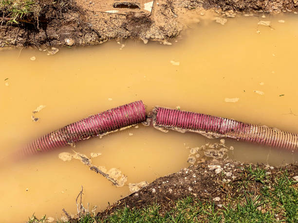 Best 24/7 water damage repair  in South Amboy, NJ