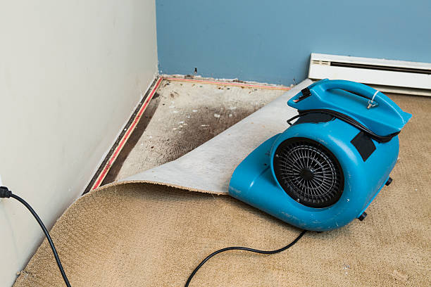 Best Emergency water damage restoration  in South Amboy, NJ